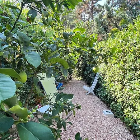 Un Coin De Paradis Au Pied De La Grande Bleue Appartamento