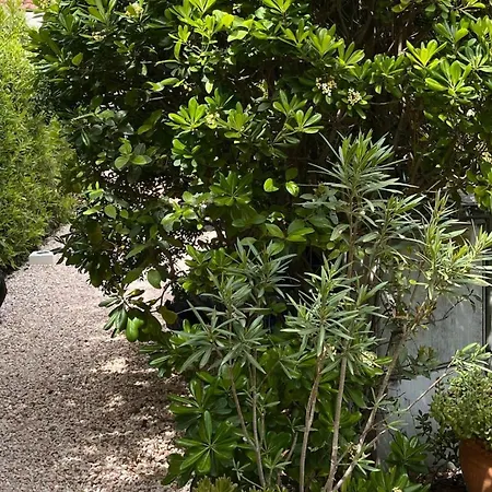 Appartamento Un Coin De Paradis Au Pied De La Grande Bleue Saint-Raphaël