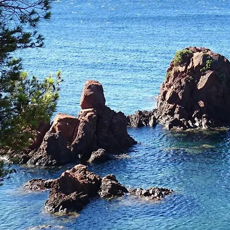 Un Coin De Paradis Au Pied De La Grande Bleue Appartamento *